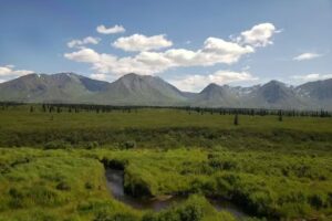 Denali Sightseeing Safaris