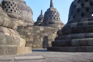 Denise Alevy Travel Agent