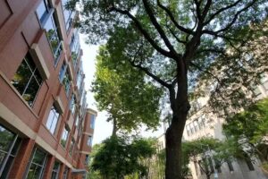 DePaul University Welcome Center