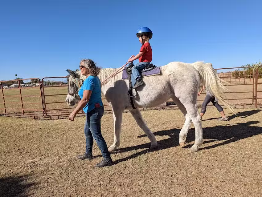 Desert Horse Adventures