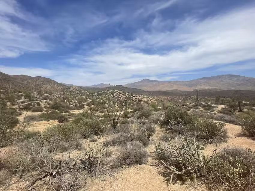 Desert Monsters Tours