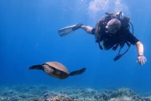 Destination Diving and Snorkel Maui