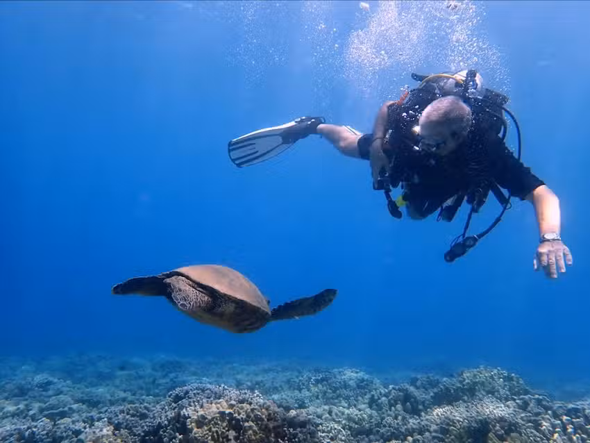 Destination Diving and Snorkel Maui