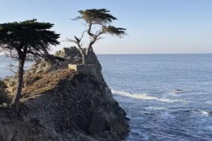 Destinations by Design