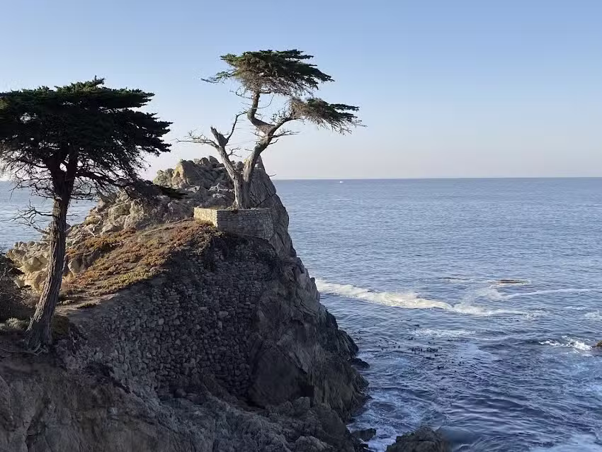 Destinations by Design