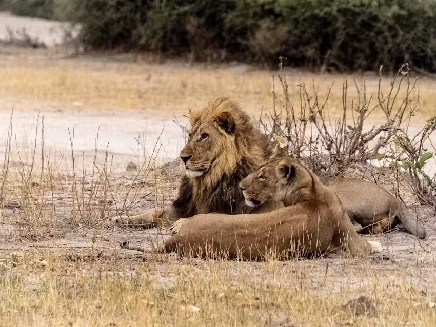 Dewan Adventure Travel LLC