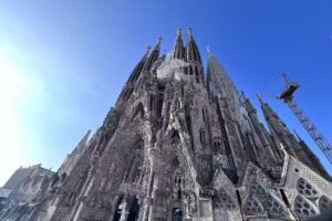 Diana Edwards, Agent, Magical Moments Vacations