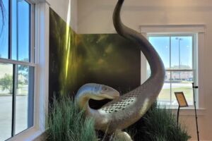 Discover Darien-McIntosh County Visitor Center