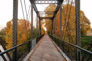 Discover Lewis County