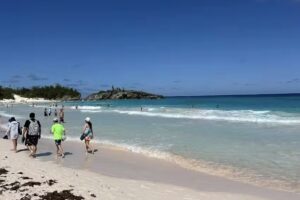 Discover The Magic Vacations By Brady Mynaugh