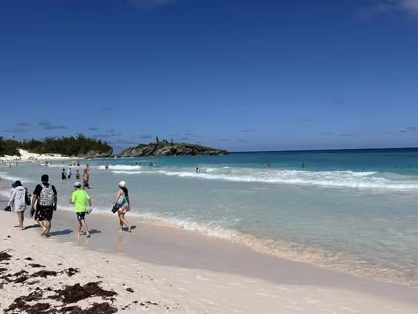 Discover The Magic Vacations By Brady Mynaugh