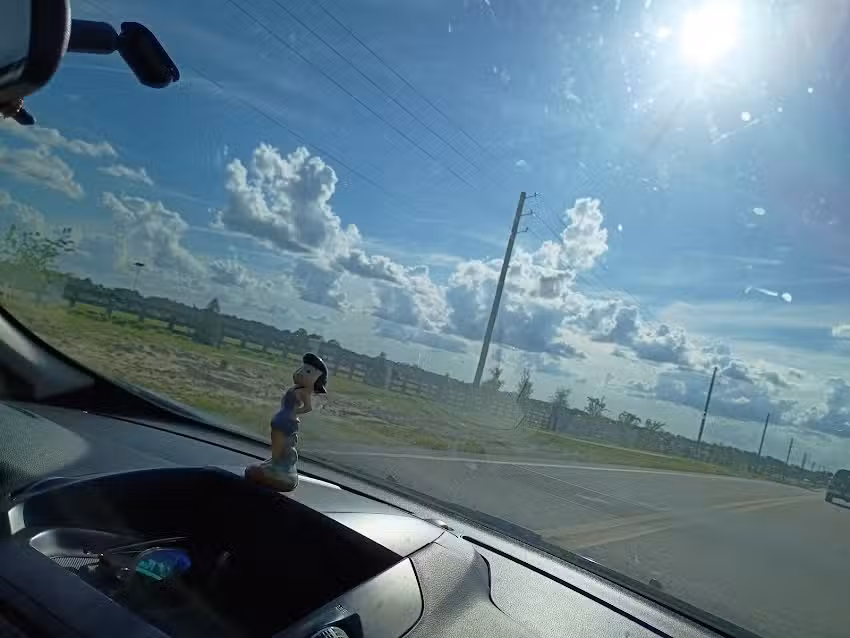 discover the magic vacations by Chris