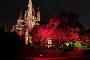 Discover the Magic Vacations by Susan