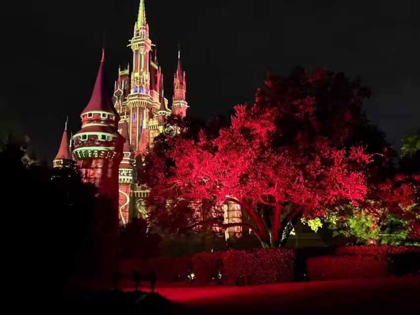 Discover the Magic Vacations by Susan