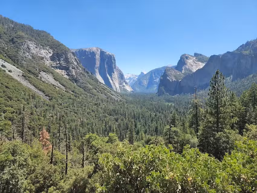 Discover Yosemite Tours