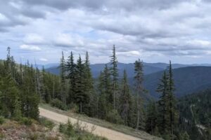 Discovery Bicycle Tours