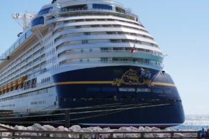 Disney Fans of Loudoun