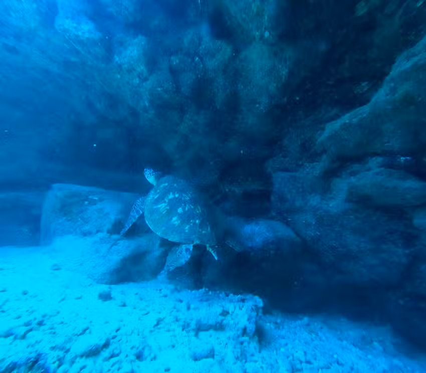 Dive Kauai Scuba Center &ndash; Shop