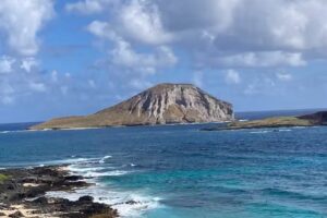 Divine Vacations & Travel LLC