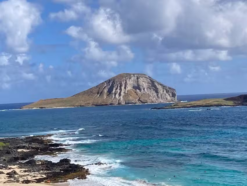 Divine Vacations & Travel LLC