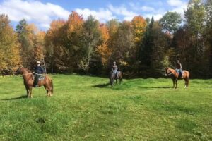 DND Stables Guided Trail Rides