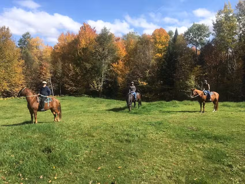 DND Stables Guided Trail Rides