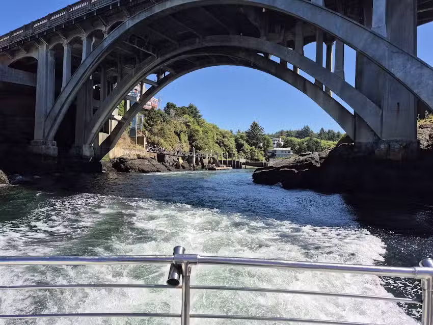 Dockside Charters and Whale Watching Tours