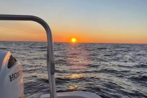 Dolphin And Snorkel Tours Inc.