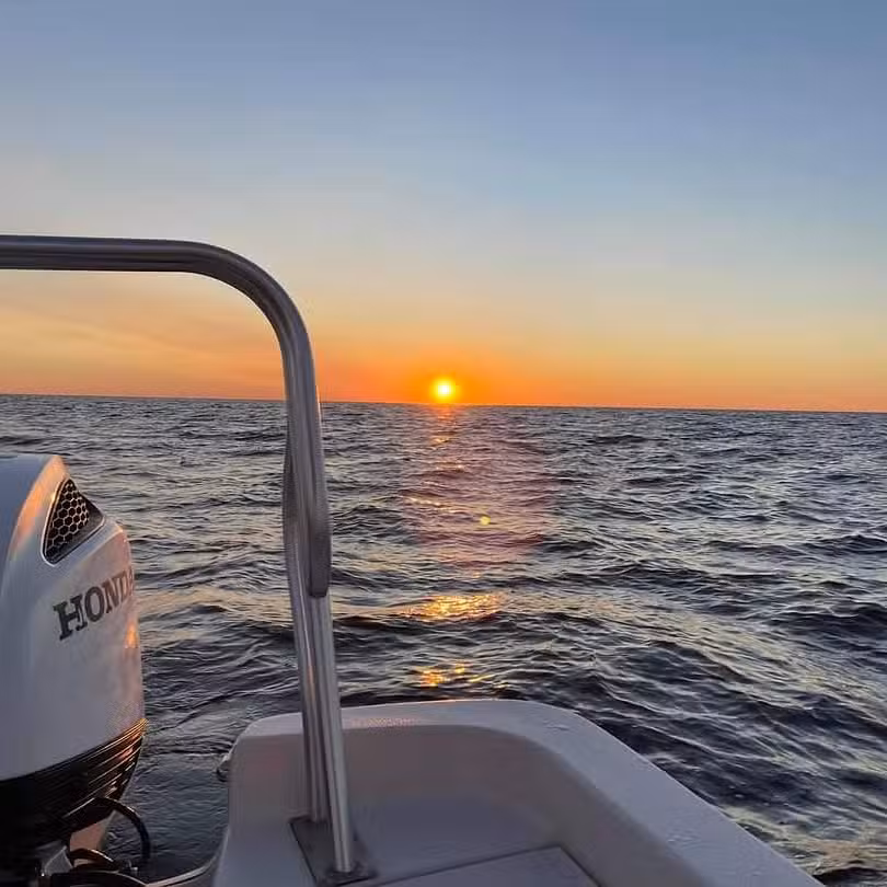 Dolphin And Snorkel Tours Inc.