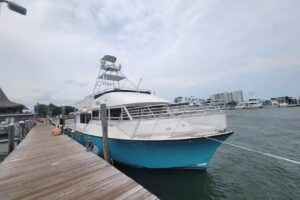 Dolphin Cruises Aboard Cruise Orange Beach
