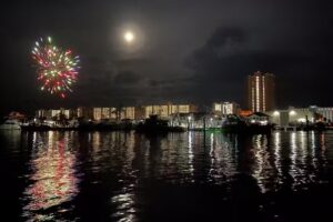 Dolphin Cruises Aboard Dolphin Tales