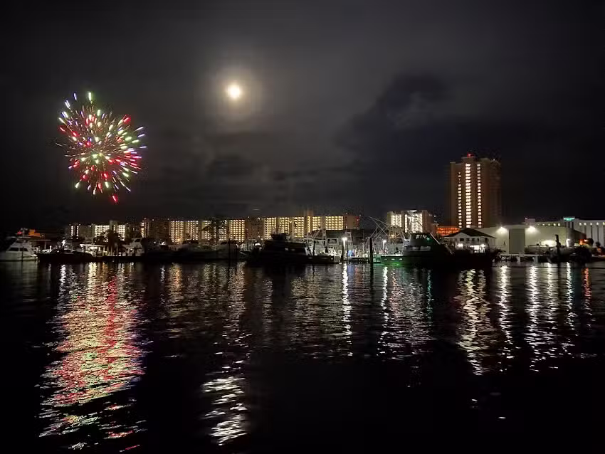 Dolphin Cruises Aboard Dolphin Tales