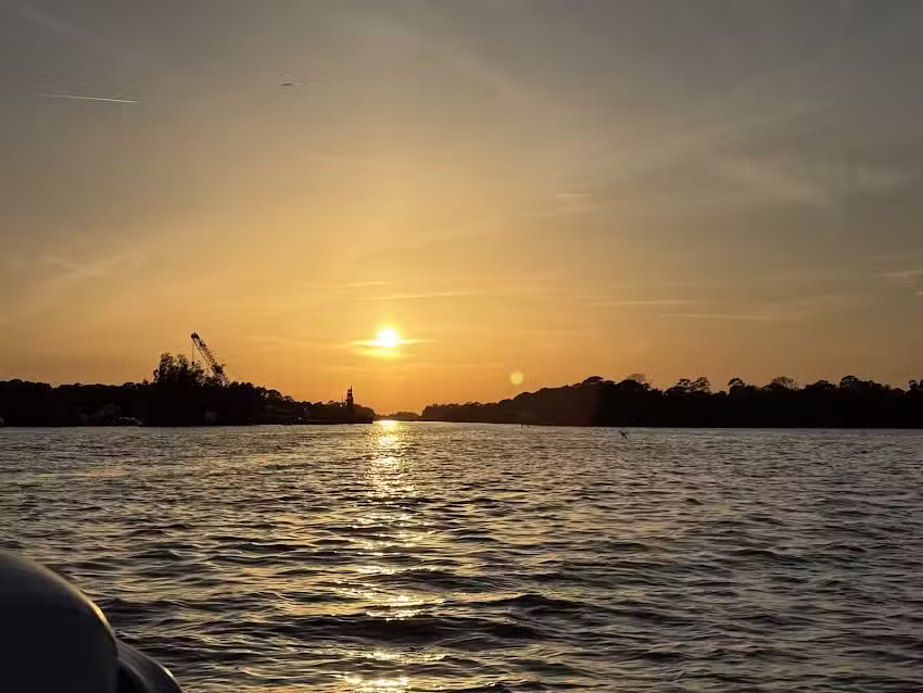 Dolphin Family Tours LLC