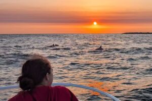 Dolphin & Snorkeling Tours Panama City Beach