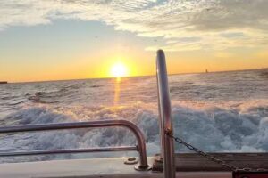 Dolphin Tours & Cruise – Fun in the Sun Boat Rides