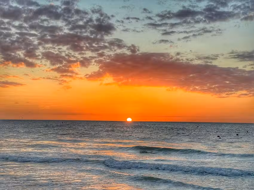 Dolphin Views Clearwater Beach Florida