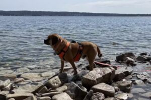 Door County Cottages