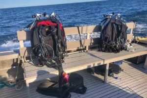 Double Action Dive Charters – Milwaukee
