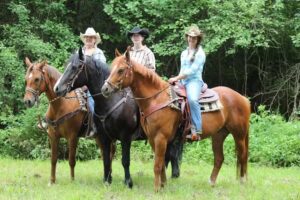 Double D.A.B Riding Stable