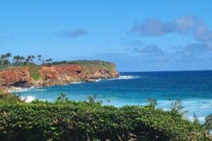 Double K Travel Services