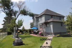 Down Home Ranch Guest House