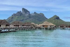 Down Under Endeavours