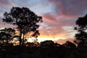 Dragon’s Lair – St. George Island FL