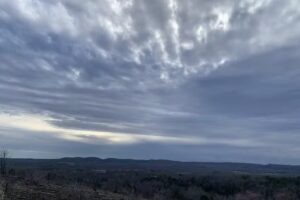 Dream A Horse in the Ozarks