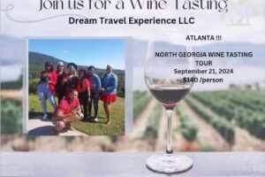 Dream Travel Experience LLC