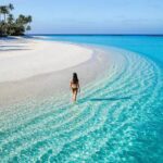 Dream Vacations by Sam – Full Service Travel Agency