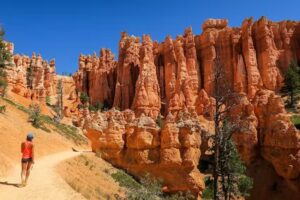 Dream Vacations David Senita