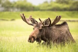 Dream Vacations Jim and Lisa McCabe – JNL Travel Adventures