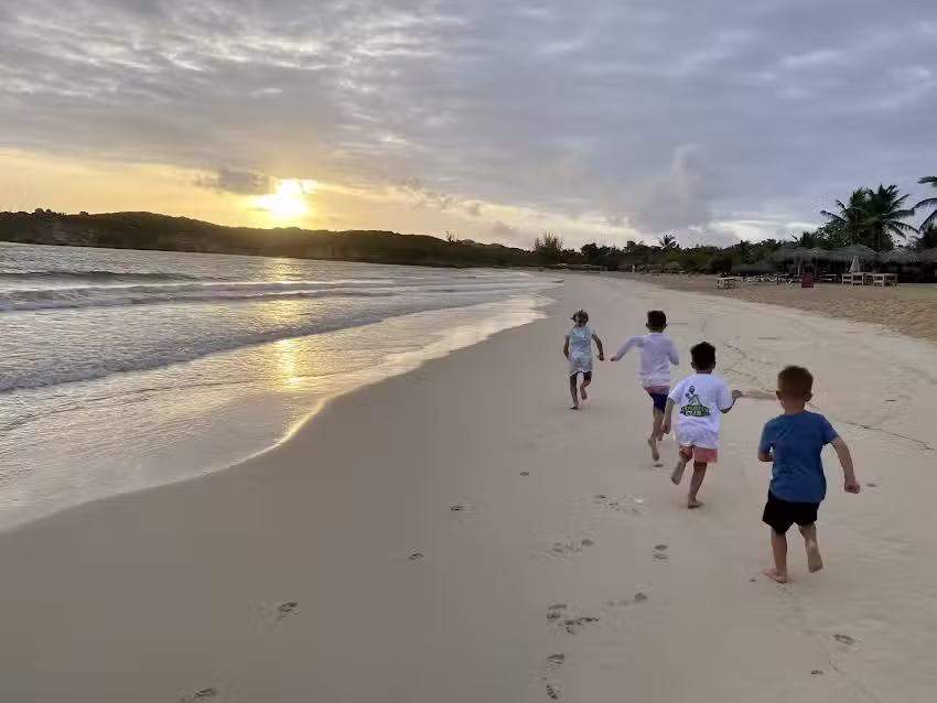 Dream Vacations Linda Heard