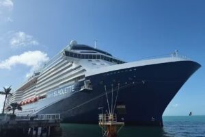 Dreaming About The Mouse Travel, LLC